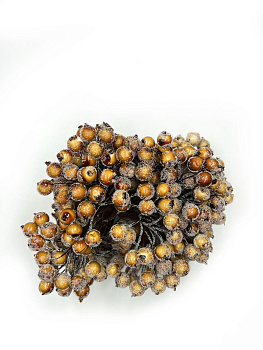 /tmp/v8_Lr0IIr_5c59.WhatsApp Image 2023-10-17 at 12.45.33 (1)