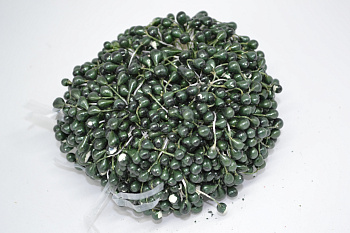 /tmp/v8_Lr0IIr_88e3.DSC_0002