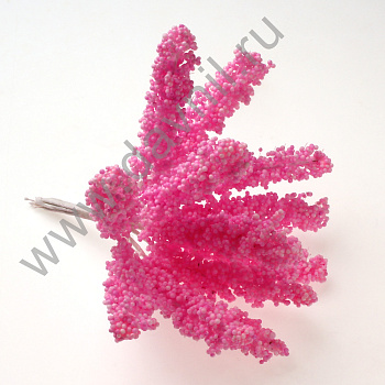 /tmp/v8_Lr0IIr_3880.К92-5 peach