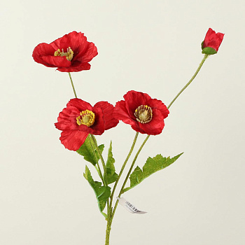 /tmp/v8_Lr0IIr_7da5.А1-118 бордовый