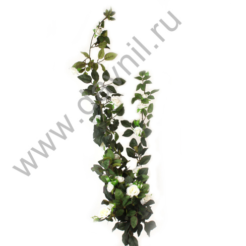 /tmp/v8_Lr0IIr_39ea.А1-108