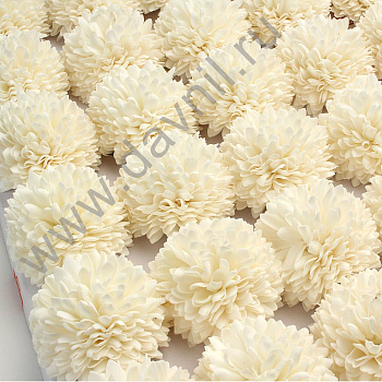 /tmp/v8_Lr0IIr_4035.IMG_0016