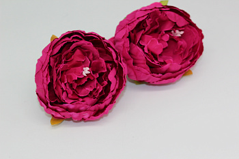 /tmp/v8_Lr0IIr_73b8.IMG_3388