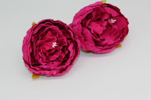 /tmp/v8_Lr0IIr_73b8.IMG_3388