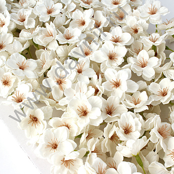 /tmp/v8_Lr0IIr_177a.А2-7-24