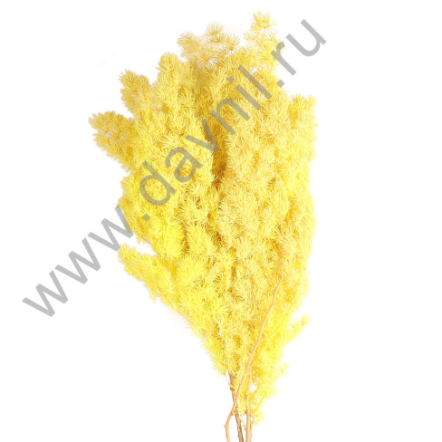 /tmp/v8_Lr0IIr_4425.IMG_0406