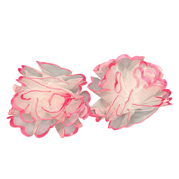 photo_6113975230092397300_y