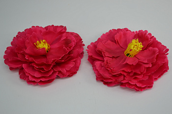 /tmp/v8_Lr0IIr_9a96.DSC_0019