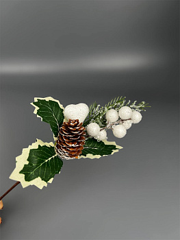 photo_6165874154612132970_y