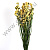Сухоцвет Незабудка 70 см желтый