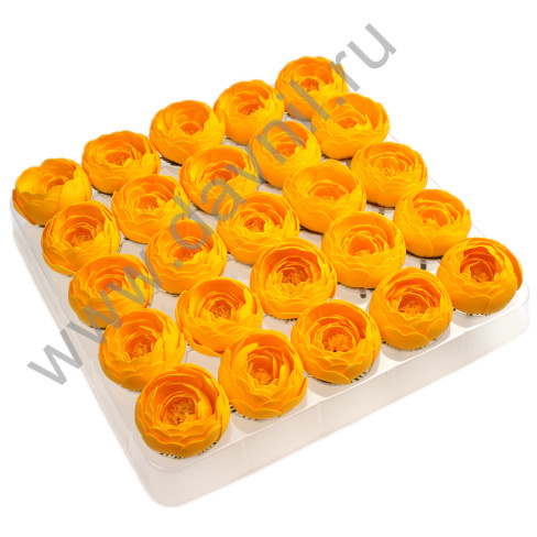 /tmp/v8_Lr0IIr_3cb7.А2-13-06