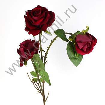 /tmp/v8_Lr0IIr_37c5.А1-53 фиолетовый