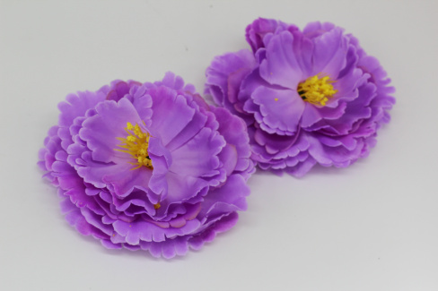 /tmp/v8_Lr0IIr_9ab5.IMG_3381