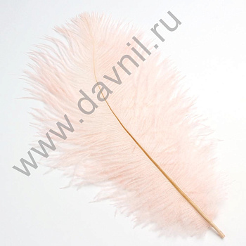 /tmp/v8_Lr0IIr_4aeb.А45-2-19