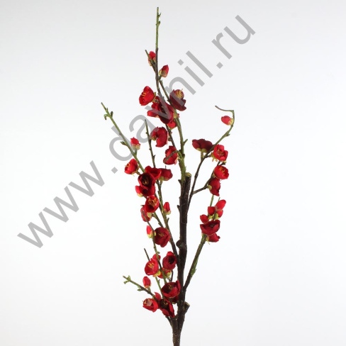 /tmp/v8_Lr0IIr_3fde.А1-14 (2)