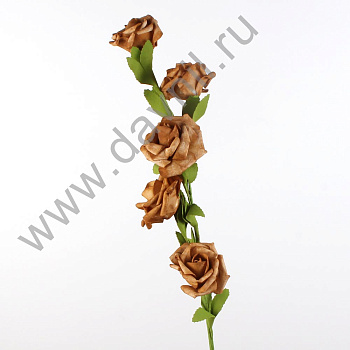 /tmp/v8_Lr0IIr_3f92.IMG_0035