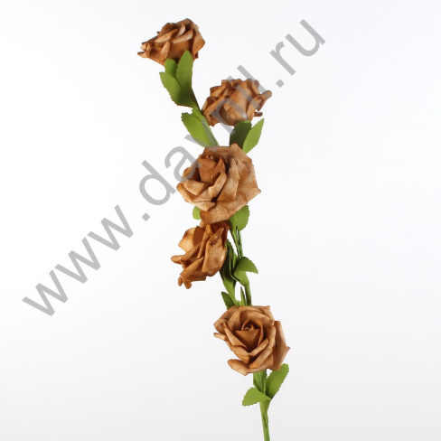 /tmp/v8_Lr0IIr_3f92.IMG_0035