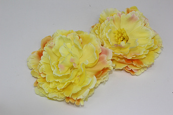 /tmp/v8_Lr0IIr_9aab.IMG_3380