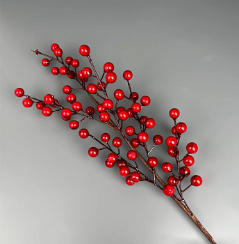 photo_6165874154612132969_y