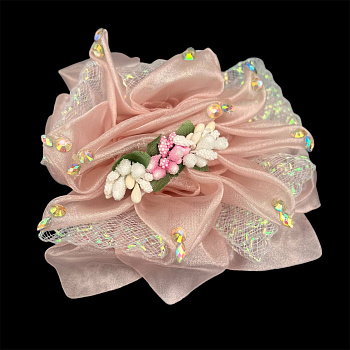 photo_6111391227443265899_y