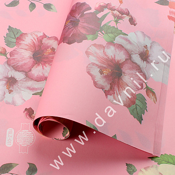 /tmp/v8_Lr0IIr_12e5.А27 - 29-5