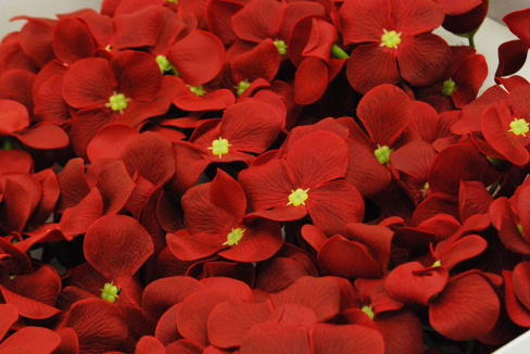 /tmp/v8_Lr0IIr_6159.А2-12.18