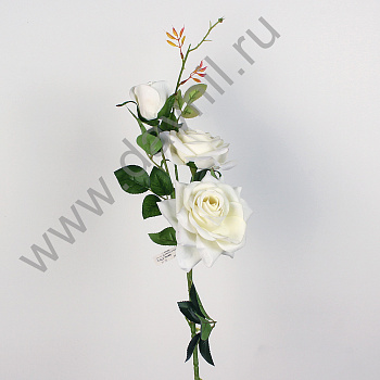 /tmp/v8_Lr0IIr_37c0.А1-48 айвори