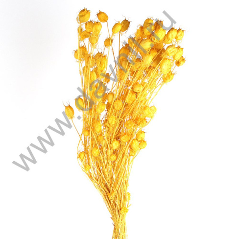 /tmp/v8_Lr0IIr_4419.А20-7 желтый