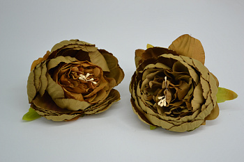 /tmp/v8_Lr0IIr_7ce9.DSC_0016