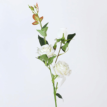 /tmp/v8_Lr0IIr_7dd4.А1-56 белый