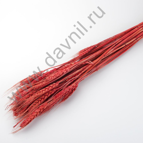 /tmp/v8_Lr0IIr_58e0.А20-15-5