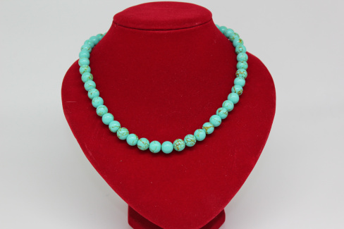 /tmp/v8_Lr0IIr_48b3.IMG_2555