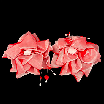 photo_6113975230092397301_y