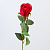Куст розы 64 см 1 шт. красный