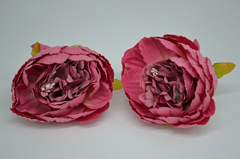 /tmp/v8_Lr0IIr_73cc.DSC_0002