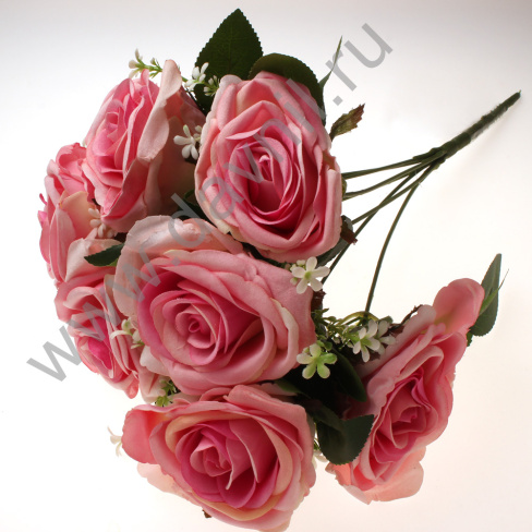 /tmp/v8_Lr0IIr_39f9.А1-27