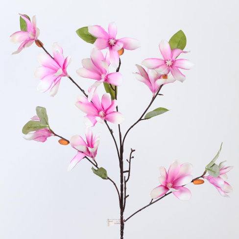 /tmp/v8_Lr0IIr_7cef.А1-37 фиолетовый