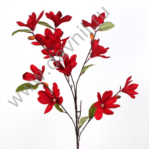 /tmp/v8_Lr0IIr_37c2.А1-37 красный