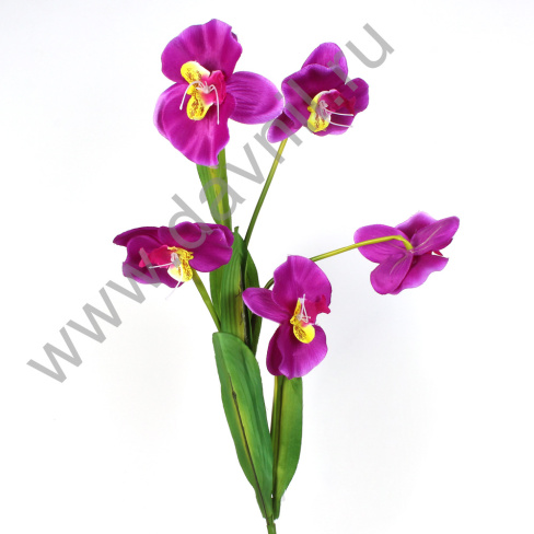 /tmp/v8_Lr0IIr_37cd.А1-11 фиолетовая