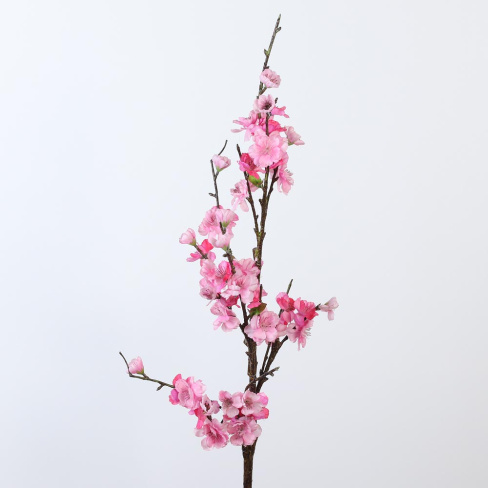 /tmp/v8_Lr0IIr_7d8a.IMG_4135