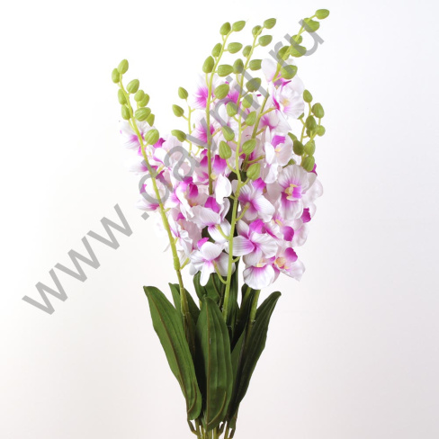 /tmp/v8_Lr0IIr_4109.27-27