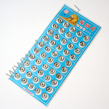 /tmp/v8_Lr0IIr_3d2c.IMG_8667