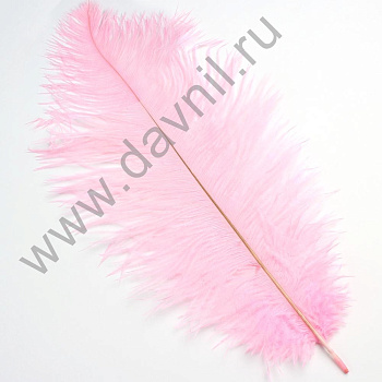 /tmp/v8_Lr0IIr_4aec.А45-2-25