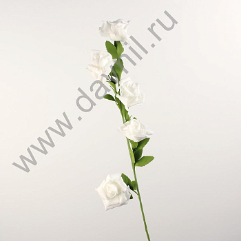 /tmp/v8_Lr0IIr_3f90.IMG_0033