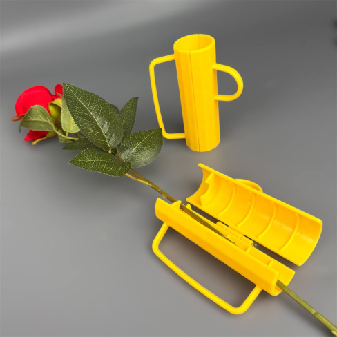 6282716944603484068 (1)