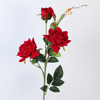 /tmp/v8_Lr0IIr_83b9.А1-49 красный