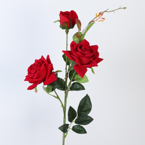 /tmp/v8_Lr0IIr_83b9.А1-49 красный