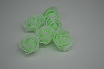 /tmp/v8_Lr0IIr_743e.DSC_0005