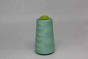 /tmp/v8_Lr0IIr_6601.IMG_2716