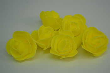 /tmp/v8_Lr0IIr_7448.DSC_0001